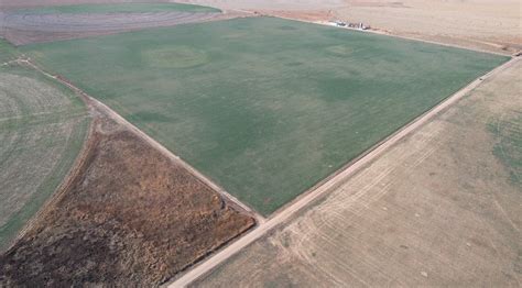 Smith Farms Dryland Quarter Gray County Ks Vaughn Roth Land Brokers