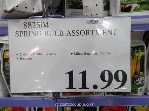 Bulbs To Blooms Spring Bulb Assortment