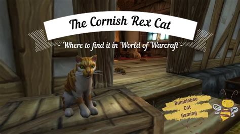 The Cornish Rex Cat Battle Pet Where To Find It In World Of