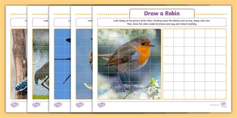 Draw a Bird Art Activity Pack (Teacher-Made) - Twinkl