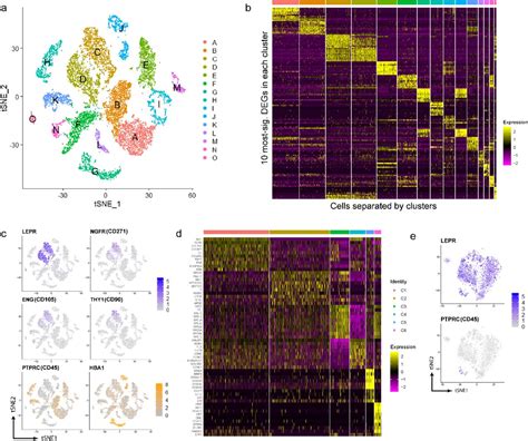 Single Cell Rna Sequencing Deconvolutes The In Vivo Heterogeneity Of Human Bone Marrow Derived