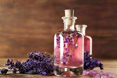 Lavender Oil For Hair Growth: Does It Work?