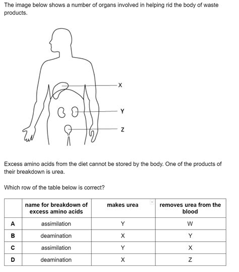 Excretion In Humans CIE IGCSE Biology Questions Answers 2022