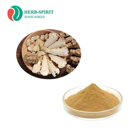 High Quality Angelica Root Extract Powder Suppliers Manufacturers