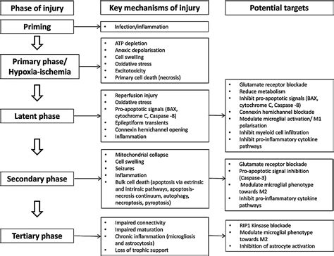 Management Of Hypoxic Ischemic Encephalopathy Using Measures Other Than