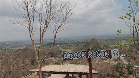 Puncak Sosok Bukit Penuh Ilalang Yang Disulap Jadi Destinasi Wisata