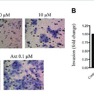 Effect Of Compound On Vegf Induced Invasion In Baecs Baec Cells Were