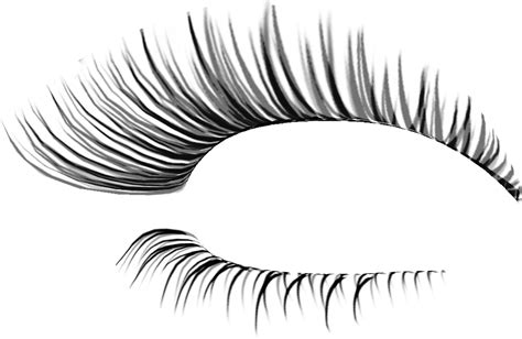 Eyelashes Png