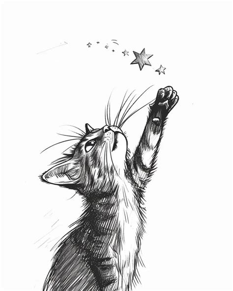 The Image Depicts A Cat Reaching For The Stars In 2024 Cats Art Drawing Cat Paw Drawing