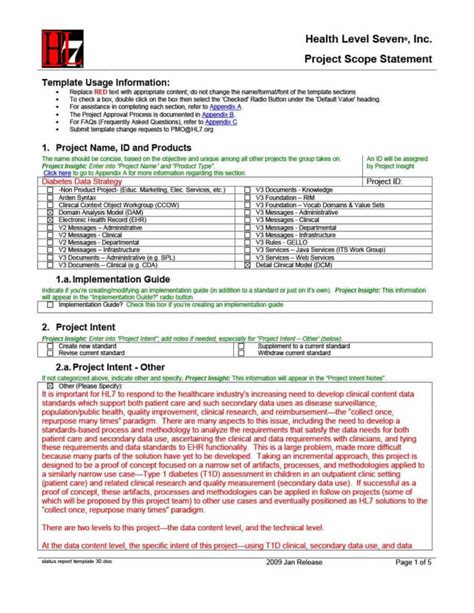 Implementation Report Template