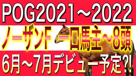 Pog2021〜2022 No13 早期デビュー予定馬 6月〜7月出走⁉︎ キャロット 東サラ サンデーからピックアップ【一口馬主