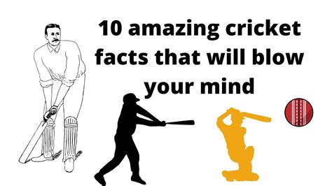 10 Amazing Cricket Facts That Will Blow Your Mind Cricket Facts Cricketfacts Jamil Latif