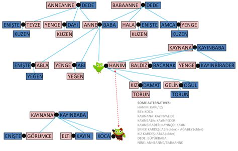 Turkish family tree - Duolingo