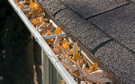 What To Expect From A Professional Gutter Cleaning Greatway Roofing