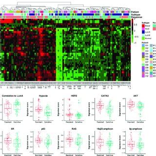 Differential Gene Expression In Resistant Tumors A Hierarchical