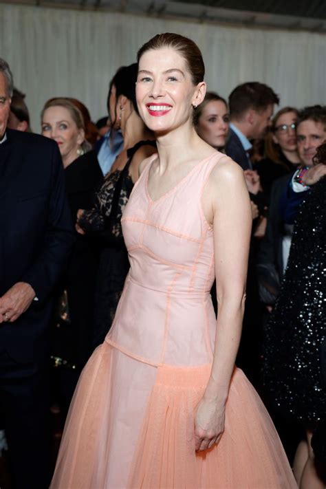 Rosamund Pike Looks Like Saltburn Character In Ethereal Pink Gown