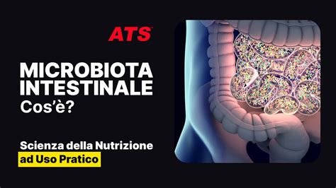 Cosa è il MICROBIOTA INTESTINALE Scienza della Nutrizione YouTube