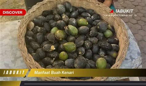 Intip 7 Manfaat Buah Kenari Yang Bikin Kamu Penasaran Discover