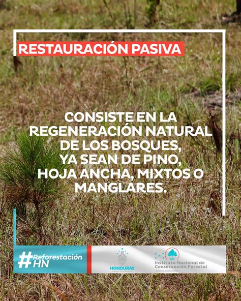 Icf On Twitter Conocen La Diferencia Entre Restauraci N Activa Y