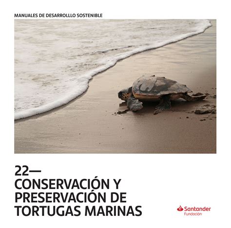 Manual De Desarrollo Sostenible 22 ConservaciÓn Y PreservaciÓn De