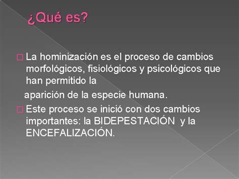 Proceso De Hominizaci N Qu Es La Hominizacin