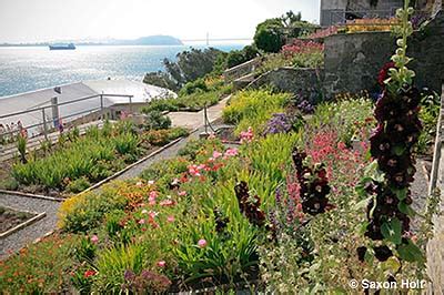 Gardens of Alcatraz – Update