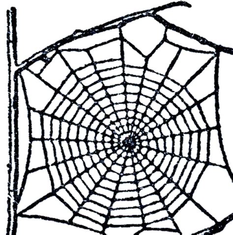 Clipart Spider Web Spider Web Clip Art Images HDClipartAll