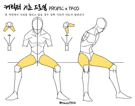 타코작가 On Twitter 해부학 드로잉 강좌 그림 배우기