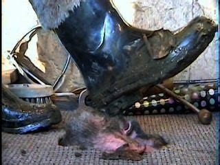 Trample Hotntubes Porn