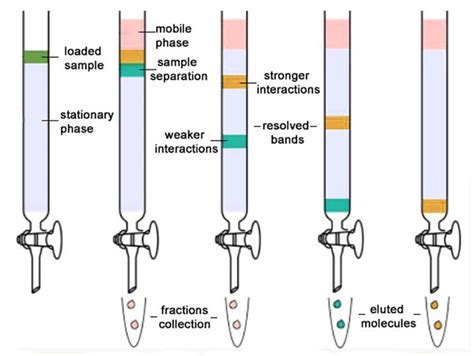 Chromatography Principle And Its Types Definition Principle Types Images