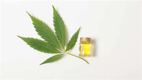 7 Benefits And Uses Of CBD Oil Plus Side Effects