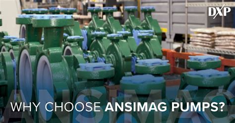 Why You Should Consider Ansimag Sealless Drive Pump Dxp Pacific