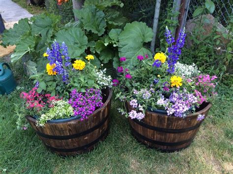 Flowers In Half Whiskey Barrels Container Gardening