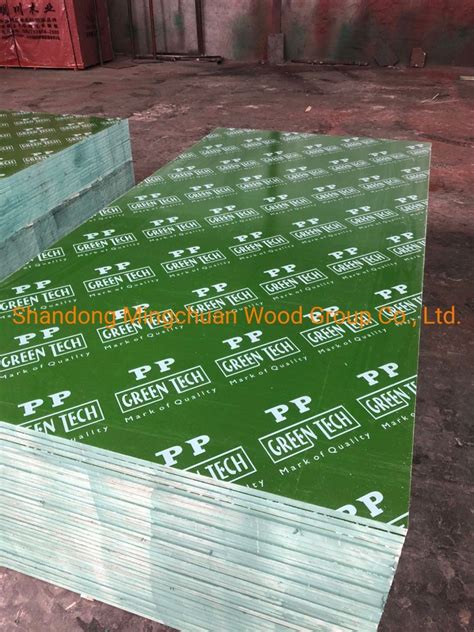 Green PP High Tech Plywood Formwork Construction Plastic Film Faced