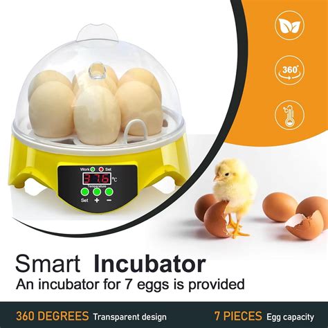 Jiahui Egg Incubator Digital Mini Eggs Hatching Machine Poultry