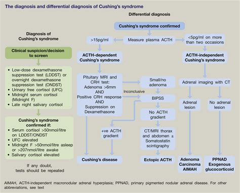 Differential Diagnosis Of Cushing S Syndrome S Ndrome De Marfan | Hot ...