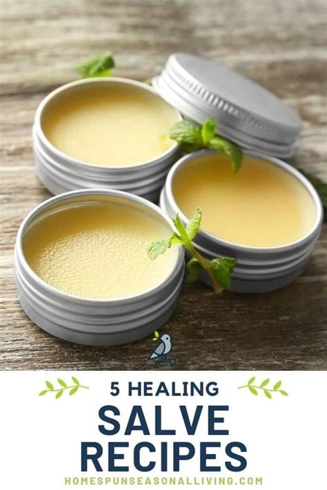 Make 5 Healing Salves In 1 Afternoon Homespun Seasonal Living