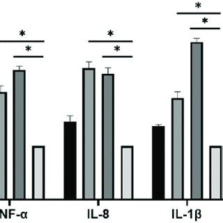 Determination Of The Expression Levels Of Il Il And Tnf In