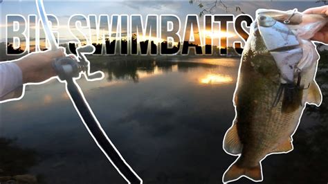 Swimbait Fishing For Big Pond Bass Youtube