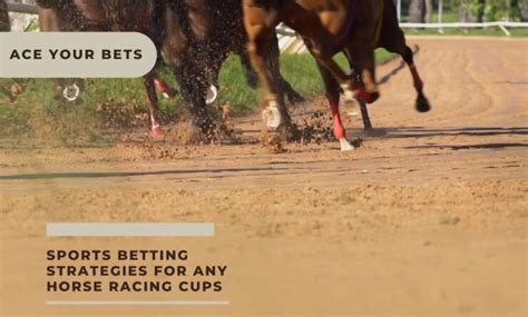 Top Sports Betting Strategies For Any Horse Racing Cups This 2023: Ace ...