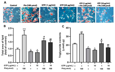 CIMB Free Full Text Regulatory Effects And Mechanism Of Action Of