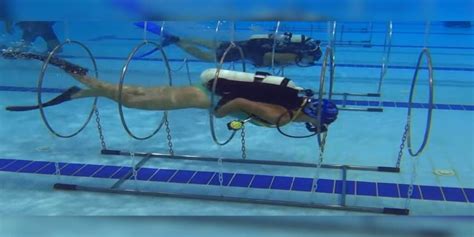 Sport Diving: History, Types, Objective, & Equipment - Sportsmatik