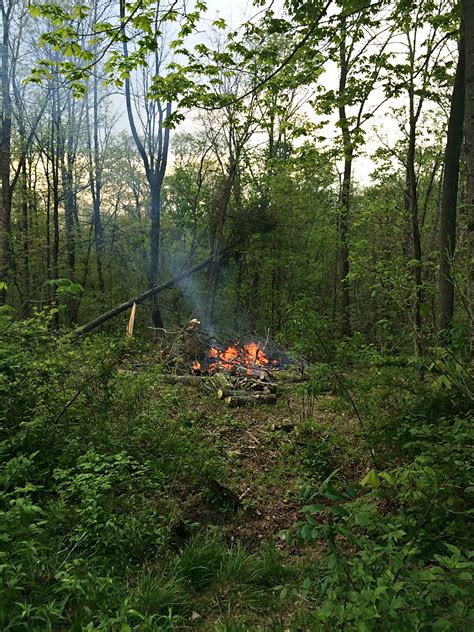 How to Clear Woods For Free without a Back Hoe – Farm Fresh For Life