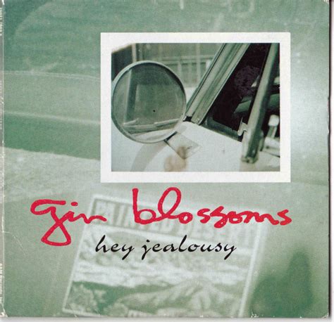 Gin Blossoms Hey Jealousy Releases Discogs