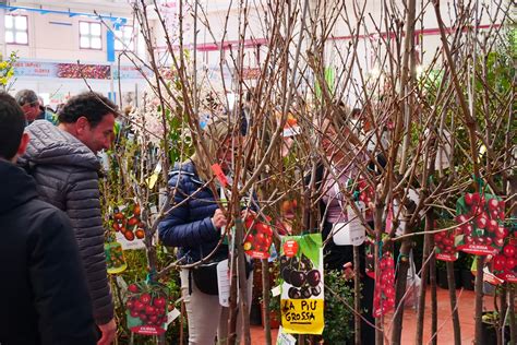 Torna La Fiera Di Vita In Campagna Green Retail