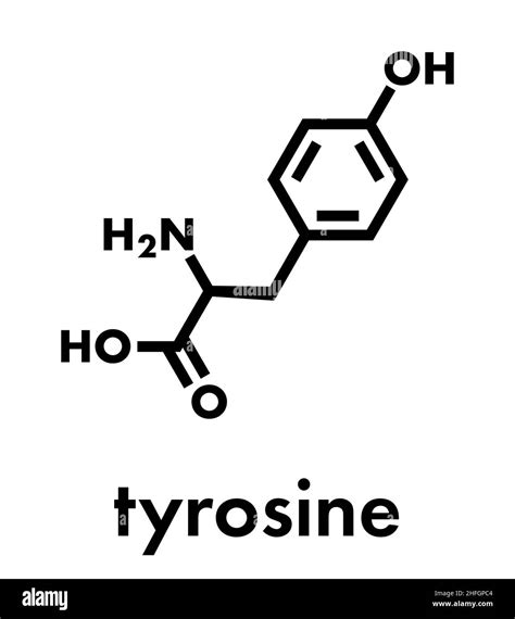 Formule Mol Culaire Chimique Tyrosine Banque D Images Vectorielles Alamy