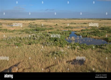 Enp Everglades National Park Stock Photo Alamy