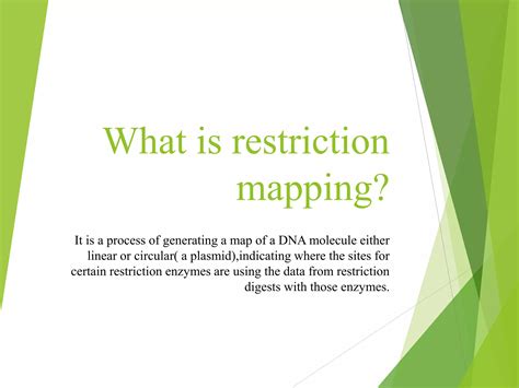 Restriction Mapping Ppt