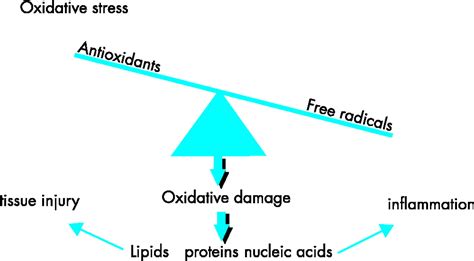 Oxidative Stress Its Role In Air Pollution And Adverse Health Effects