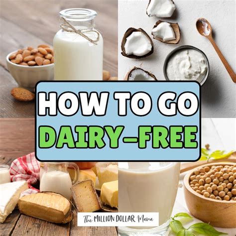 How To Go Dairy Free